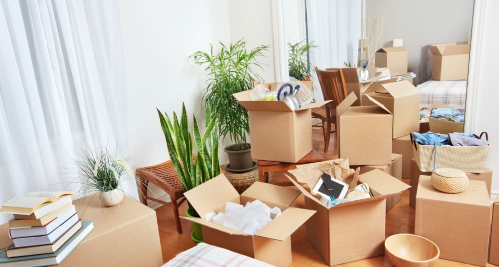 Best among most reliable and efficient movers in Toronto