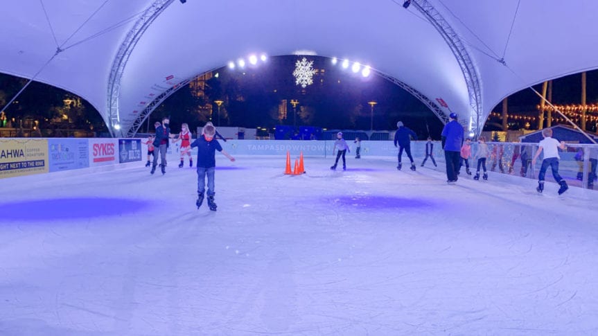 The Best Winter Activities in Tampa