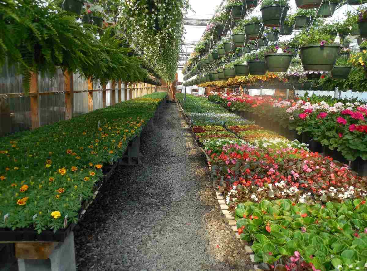 Sustainable Practices in Nursery Container Manufacturing and Use