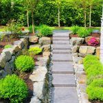 Different Soil Types