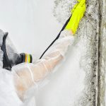 Risks of Mold Exposure