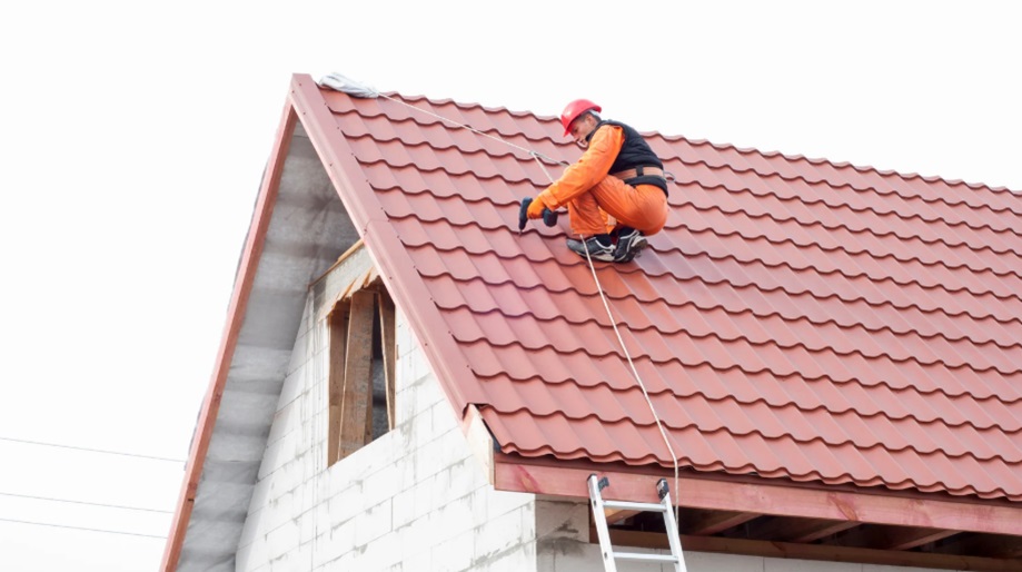 Professional Roofing