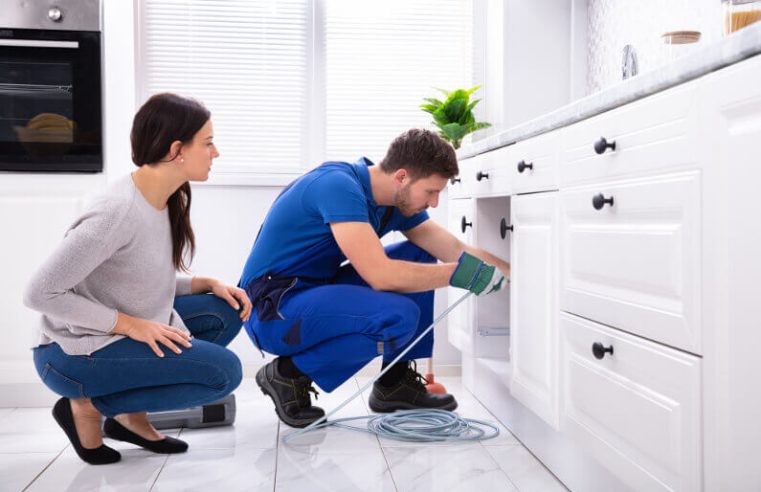 What to Expect from Professional Drain Cleaning in Youngstown